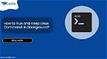 Which Command Will Run as a Background Process in Linux?