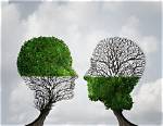 Which Complement Each Other?