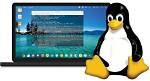 Which Computers Use Linux?