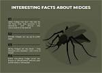 Which Countries Have Midges?