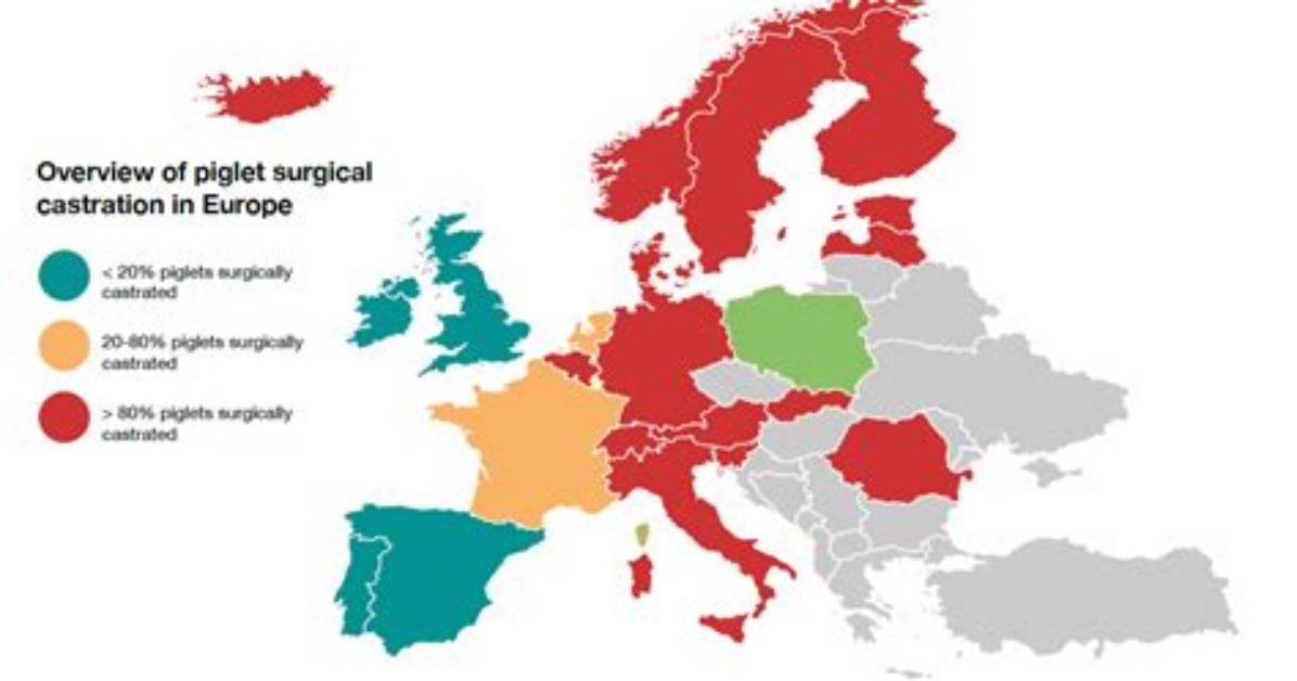Which Countries Use Castration?