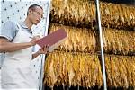 Which Curing Method Is Suitable for Cigars?