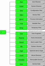 Which Directory Contains All Linux Command Shells?