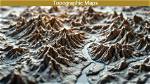 Which Does a Topographic Map Show?