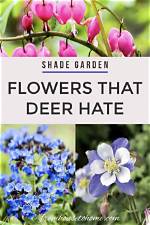 Which Flowers Do Deer Hate