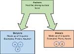 Which Force Only Affects Hadrons?