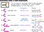 Which Functional Groups Are Acids?