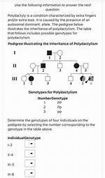 Which Genotypes Code for Polydactyly?