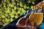 Which Hops for Which Beer