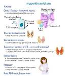 Which Hormone Causes Hyperthyroidism?