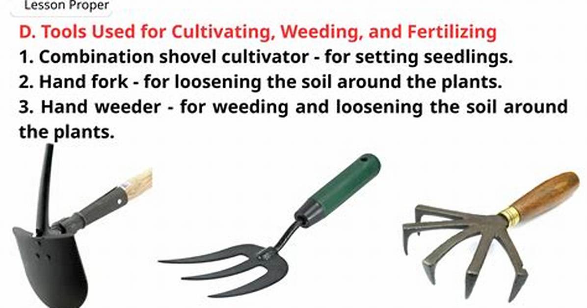 Which Implement Is Used for Weeding?