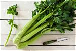 Which Is Celery Stalk?