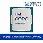 Which Is Correct Processor or Processor?