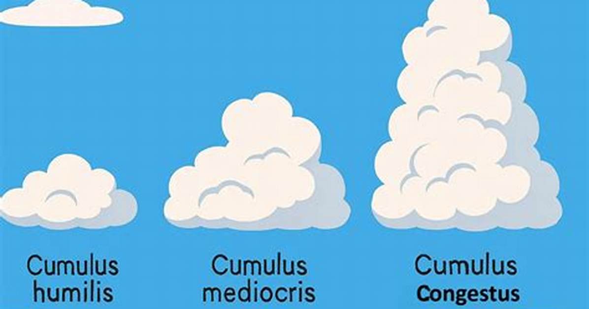 Which Is Cumulus Clouds?