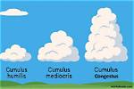 Which Is Cumulus Clouds?