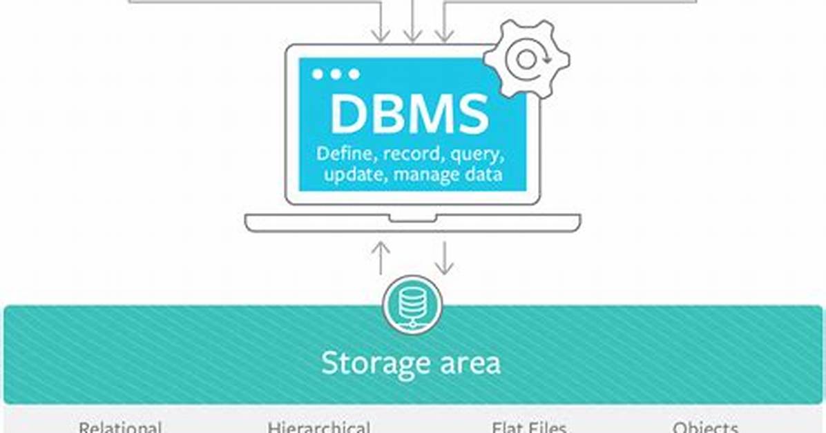 Which Is Dbms Software?