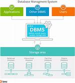 Which Is Dbms Software?