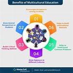 Which Is Multicultural Education?