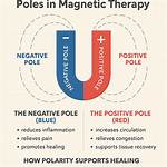 Which Is Negative Pole?