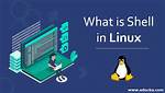 Which Is Not Shell in Linux?
