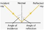 Which Is Reflected Ray?