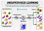 Which Is Unsupervised Machine Learning?