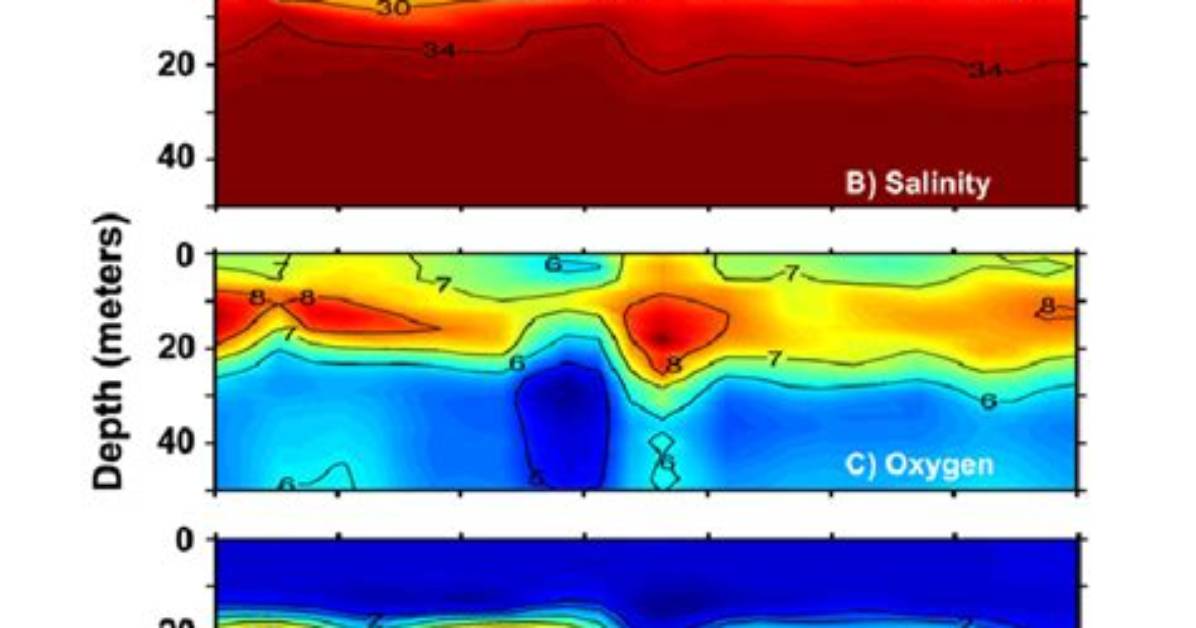 Which Isopleth Indicates Equal Salinity?