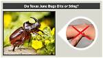 Which June Bugs Bite?