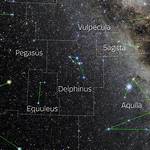 Which Language Is Delphinus?