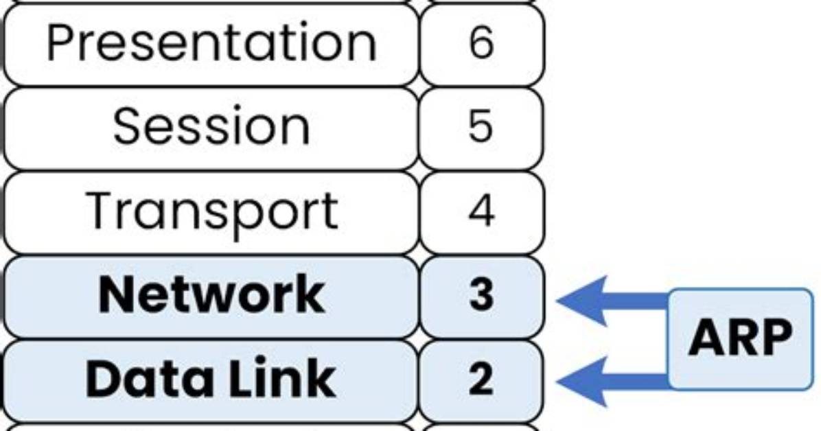 Which Layer Arp Works?