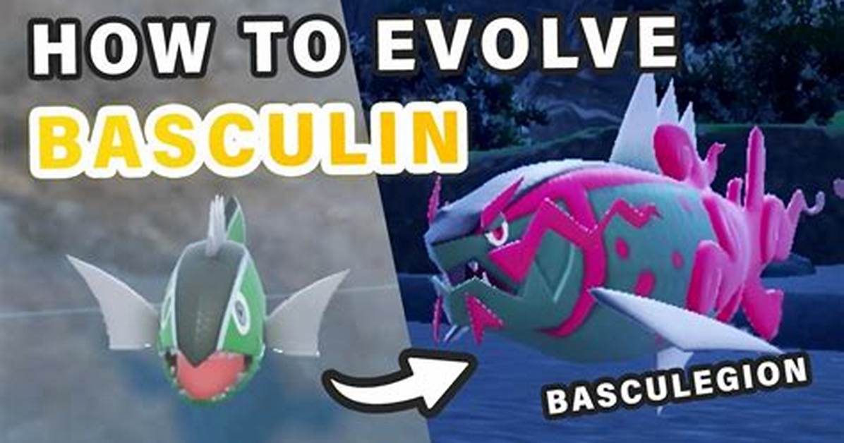 Which Level Basculin Evolve?