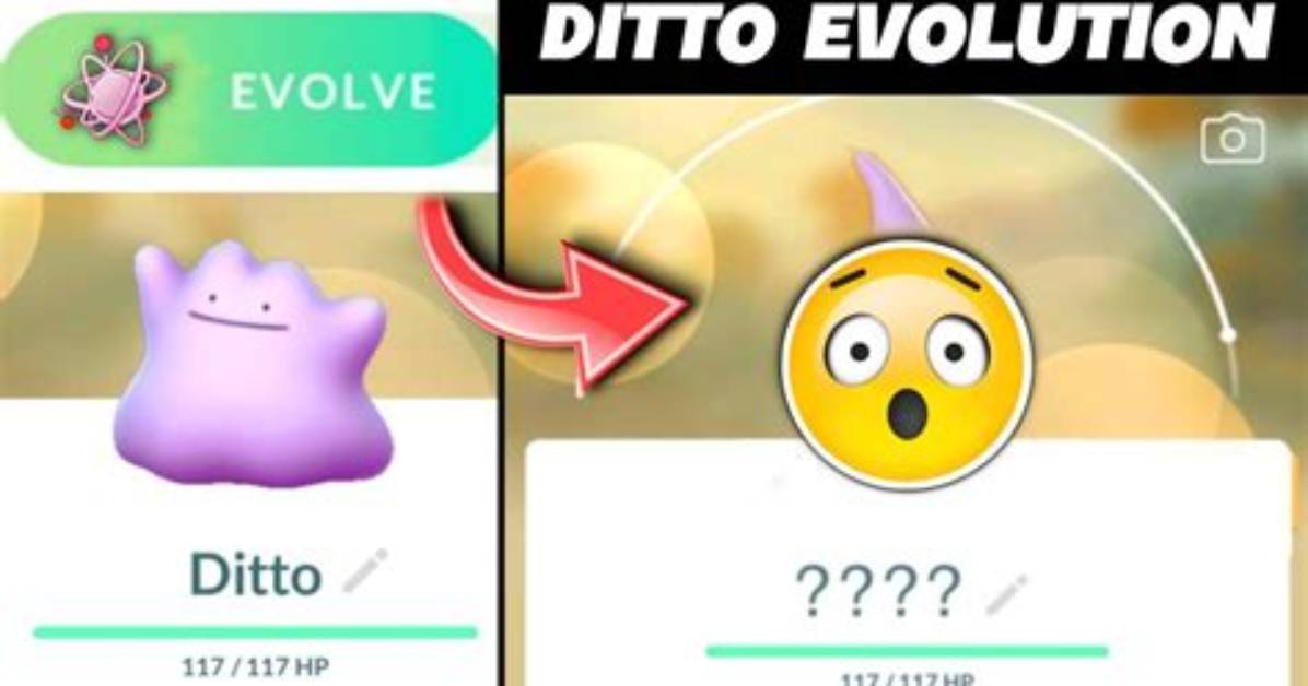Which Level Ditto Evolve?