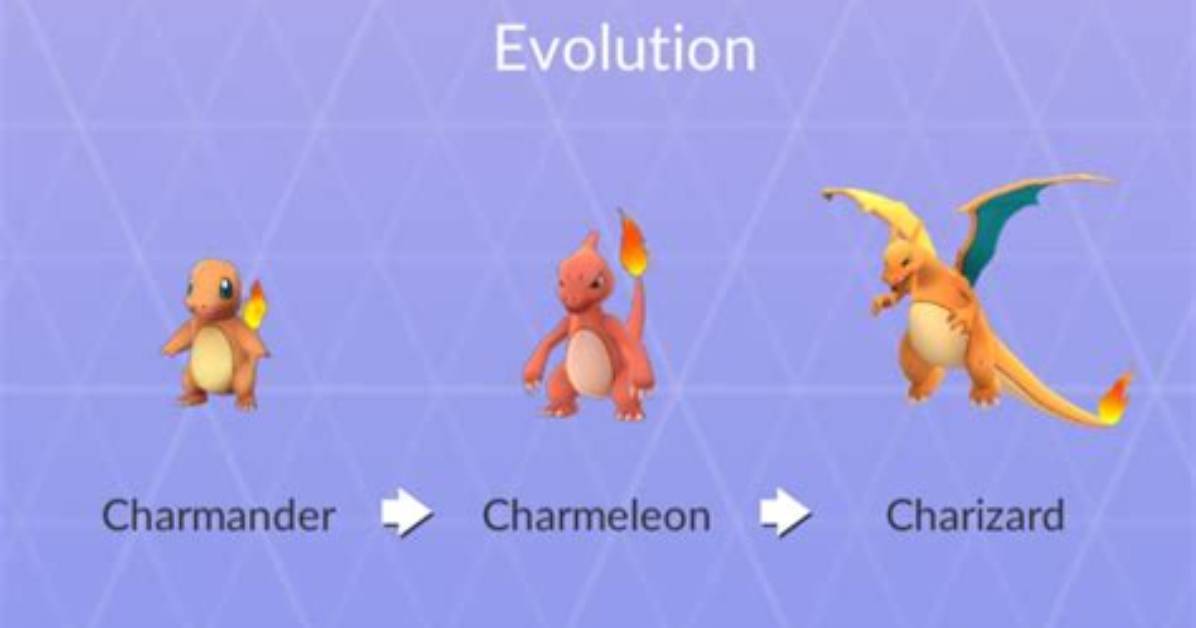 Which Level Does Charmeleon Evolve?