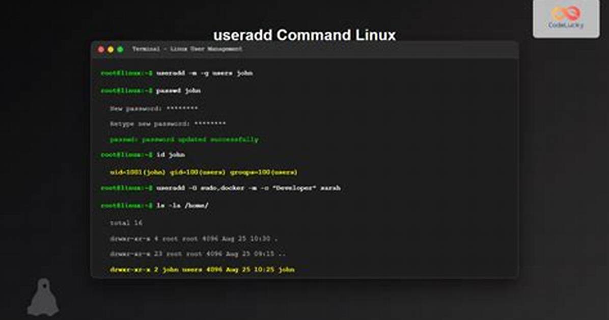 Which Linux Command Will Add a New User with No Password?