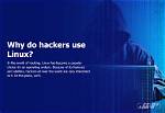 Which Linux Do Hackers Use?