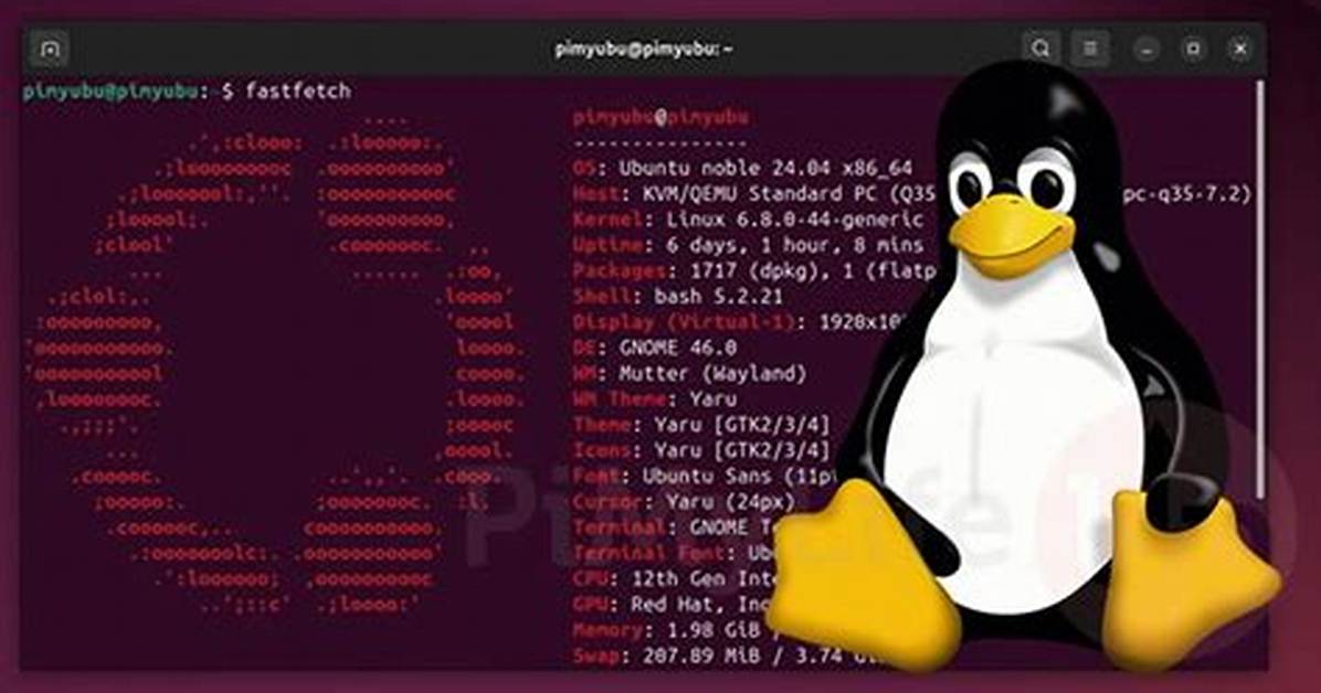 Which Linux Is Fast?