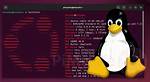 Which Linux Is Fast?
