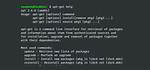 Which Linux Uses Apt Get?