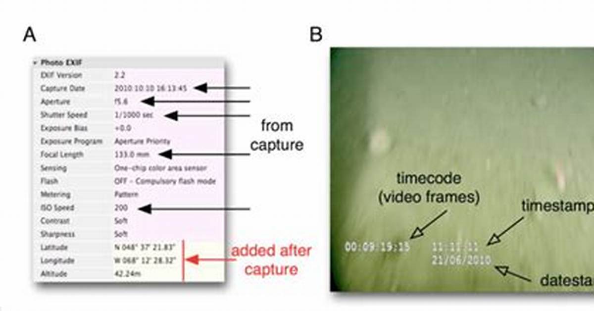 Which Metadata Does a Camera Capture?