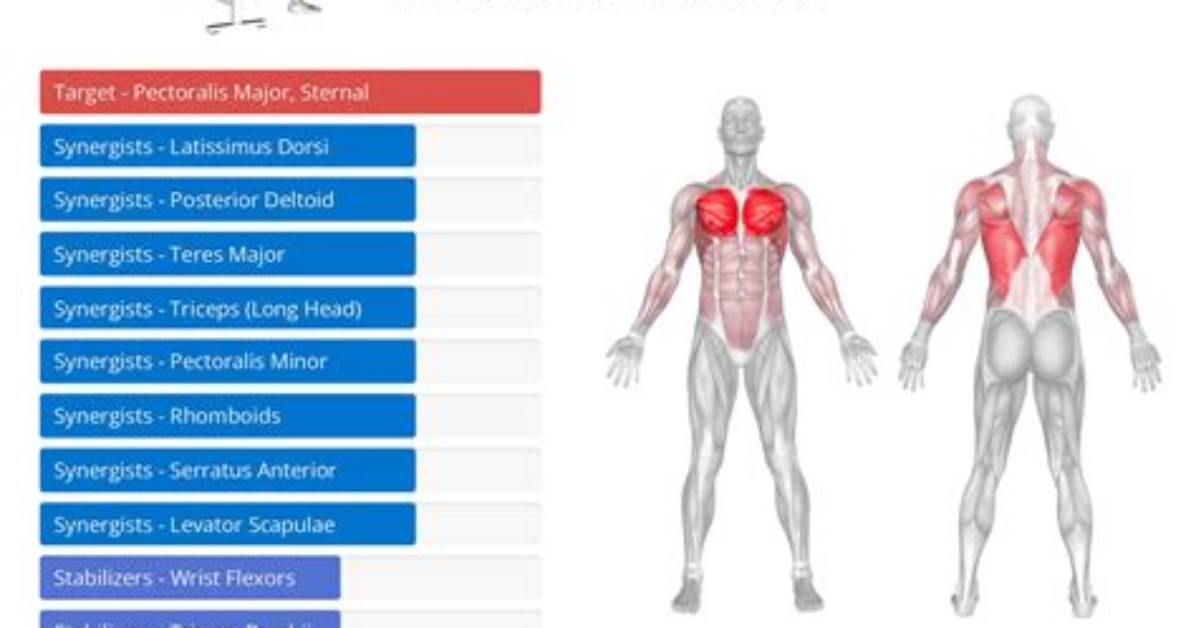 Which Muscles Do Pullovers Work?