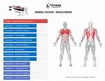 Which Muscles Do Pullovers Work?