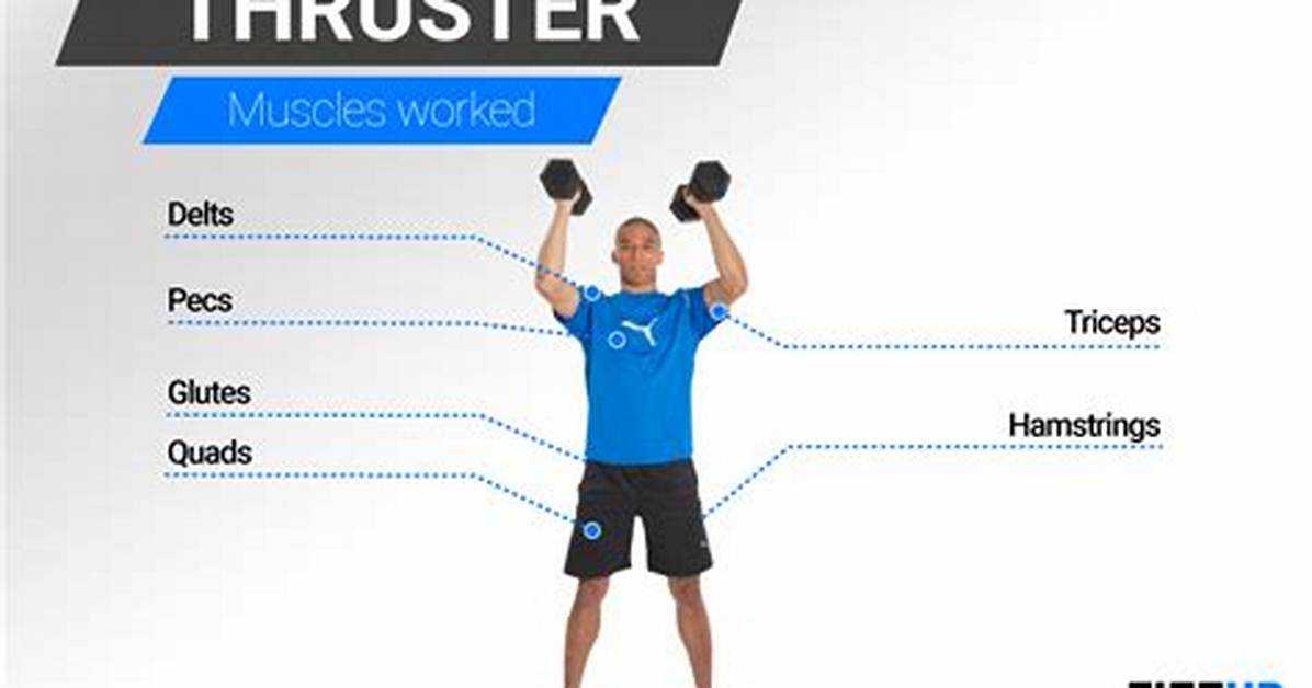 Which Muscles Do Thrusters Work?