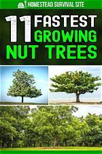Which Nut Grows Fastest