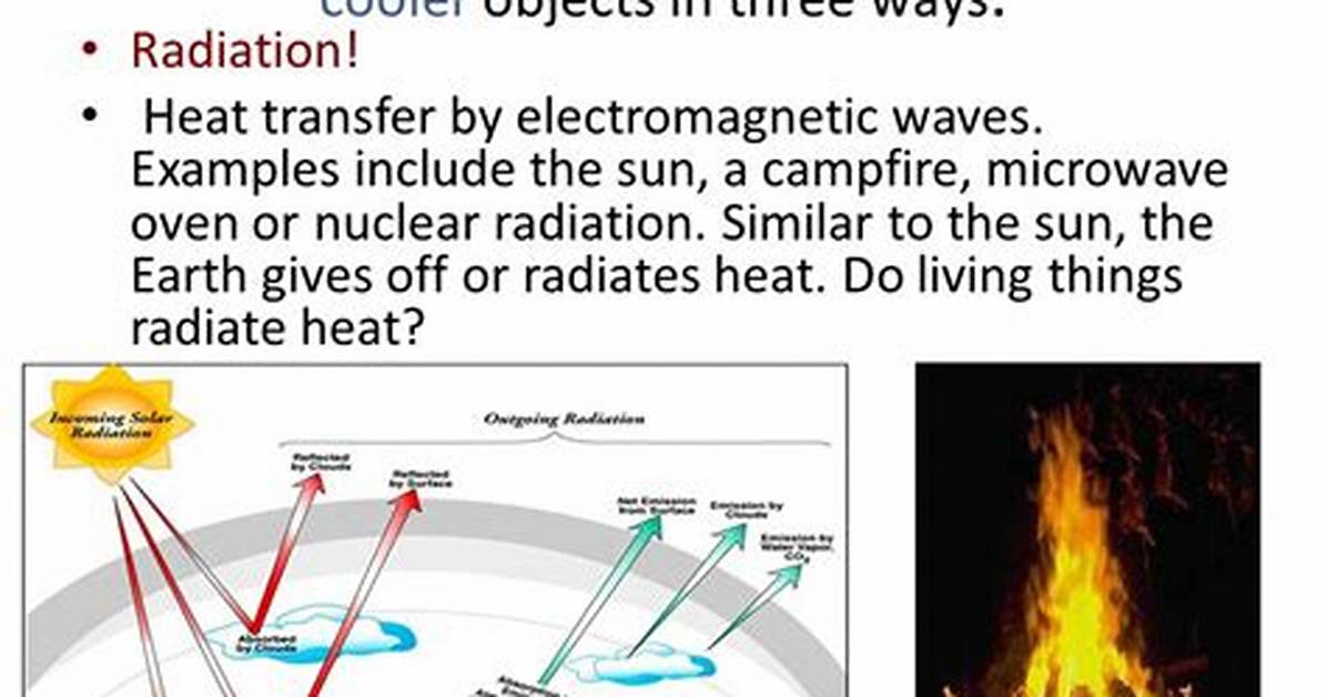 Which Objects Radiate Heat?