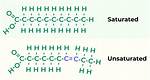 Which Oils Are Unsaturated?