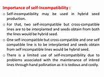Which One Is Self Compatible?