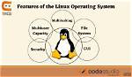 Which Operating System Is Based on Linux Distribution?