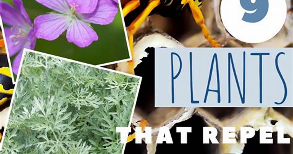 Which Plants Do Wasps Hate?