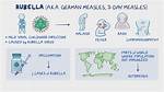 Which Precaution Is Rubella?