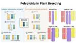 Which Process Can Change Ploidy?